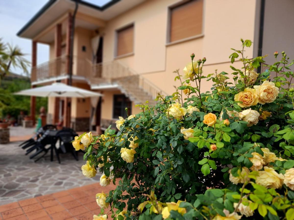 הוילה קאפאנורי Casa Camelia מראה חיצוני תמונה