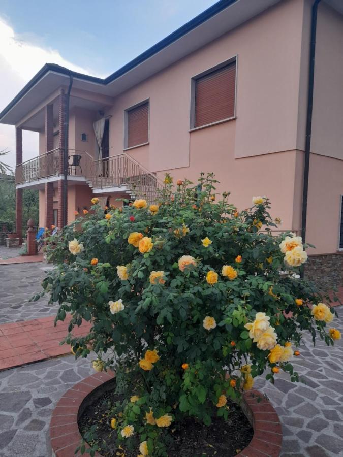 הוילה קאפאנורי Casa Camelia מראה חיצוני תמונה